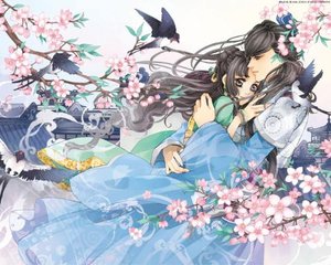 深入了解 拔萝卜全程不盖被子黄